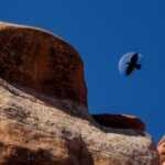 Photo Workshops at Arches national park