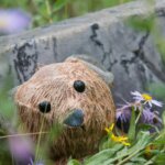 Photo workshops at cemeteries