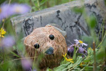 Photo workshops at cemeteries