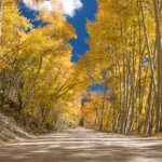 Fall and Autumn photography tours in Colorado