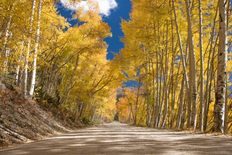 Fall and Autumn photography tours in Colorado