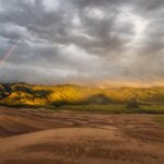 Sightseeing tours - great sand dunes national Park