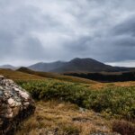 Photo workshops at Guanella Pass