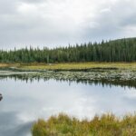 Landscape sightseeing tours in Colorado