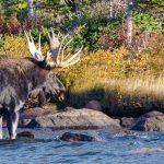 wildlife photography tours