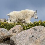 Colorado Private Photography Tours