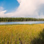 Photo Tours - Rocky Mountain National Park