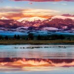 Monte Vista Sandhill Crane Workshop for photographers