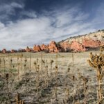 Photography Tours in Denver