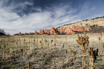 Photography Tours in Denver