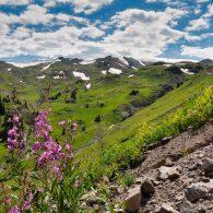 Rocky Mountain Photo Tours