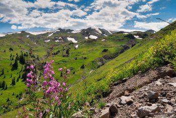 Rocky Mountain Photo Tours