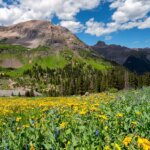 Photo and Jeep Tour Imogene Pass Colorado