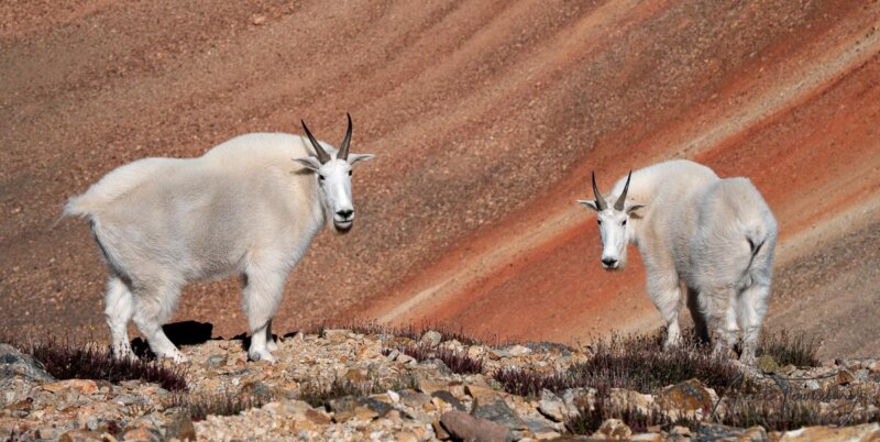 Summit County, Colorado