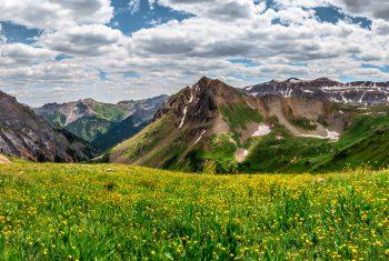 Landscape workshops in San Juan Mountains