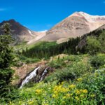 Waterfall photography tours near Ouray