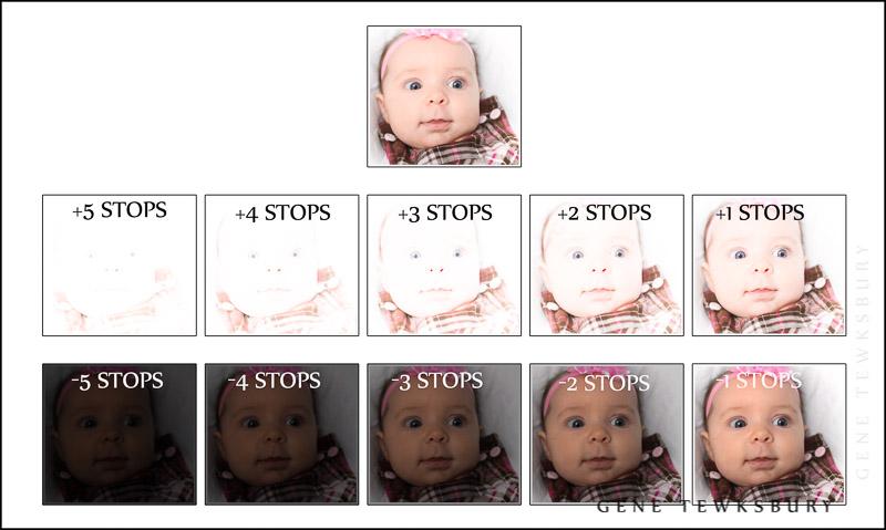 Visual Demonstration of how stops affect exposure in photography.
