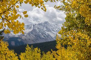 Photography composition Rule of foreground - mountain and leaves