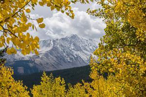 Photography composition Rule of foreground - mountain and leaves