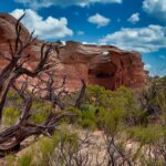 Arches in Rattlesnake Canyon Colorado