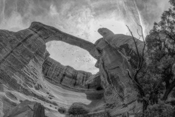 Landscape Arches Rattlesnake Canyon Colorado