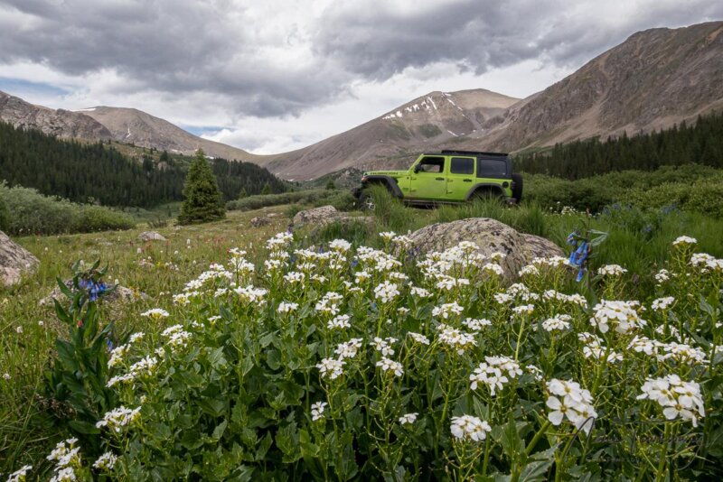 Chihuahua Gulch, Colorado