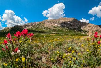 Chihuahua Gulch Colorado - Jeep Tours