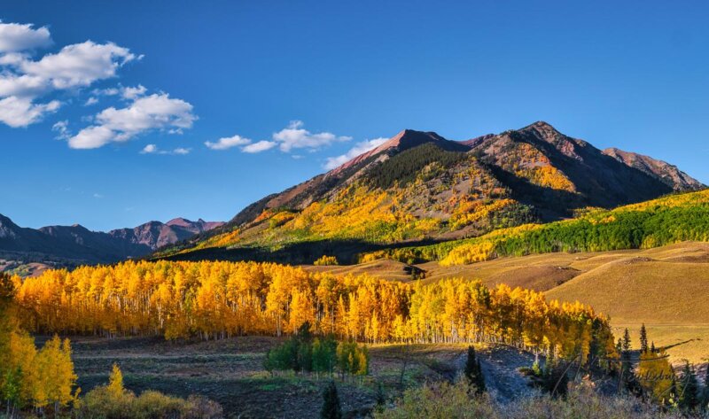 Fall color photography tours in Crested Butte