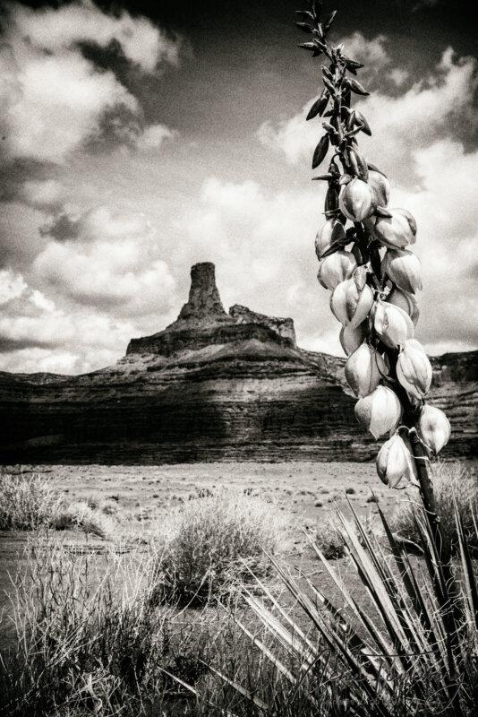 BLM: Potash Road