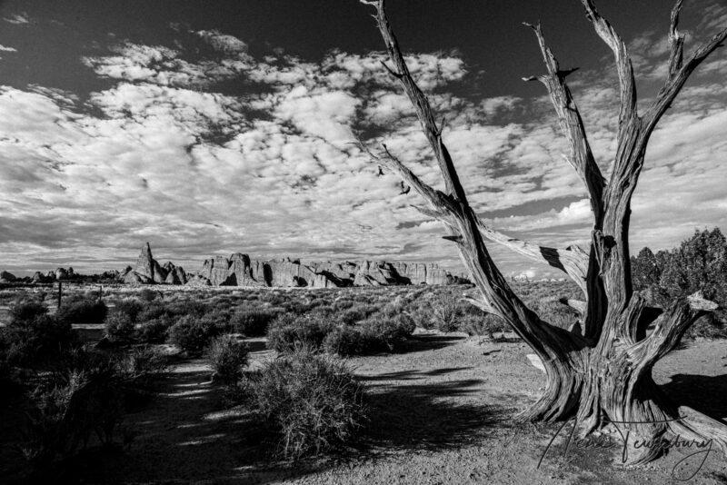 Arches: Sand Dune Arch